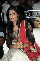 Anisha Photo Gallery